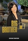 Big Brother 13