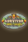 David vs. Goliath