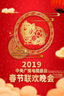 2019 Ji-Hai Year of the Pig