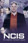 Season 15