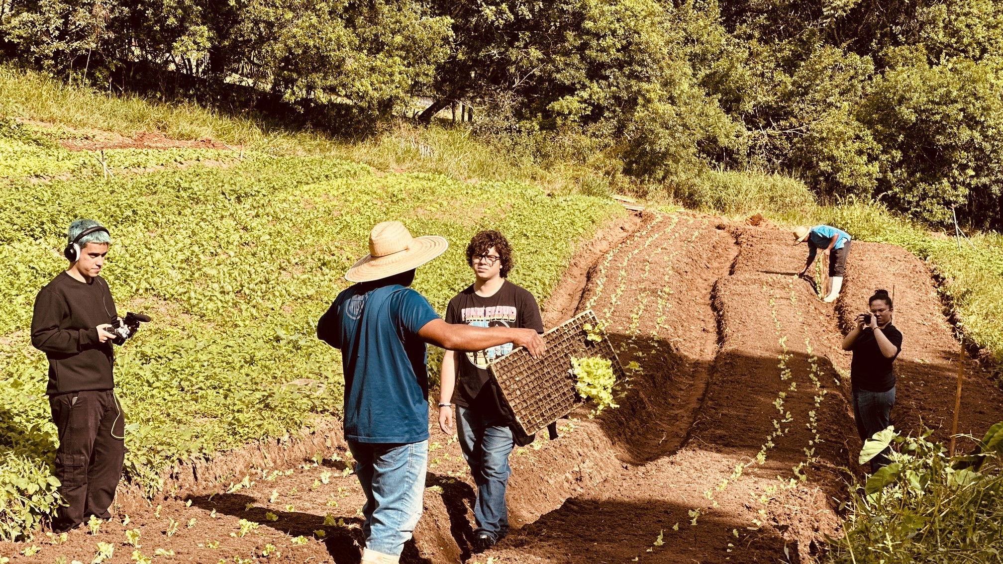 Tuesdays, Saturdays, Sundays