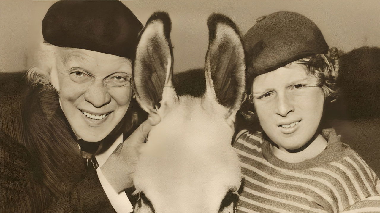 O Velho, o Menino e o Burro