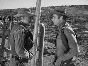 Incident of the Night Horse