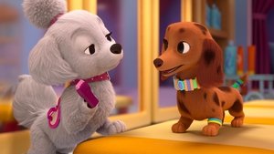 Welcome Waggin' / Groom Games