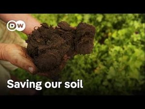 How farmers are protecting the soil and our food security