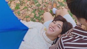 Where the Heart Lies