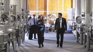 The Critic in the Cabernet