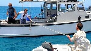 Lana I Ka Moana (Adrift)