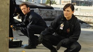 The Daredevil in the Mold