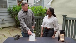 Sustainable Grass, Driveway Lights