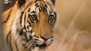 Johnson Space Center, the Rimini purifier