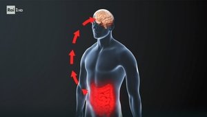 Xylella, the brain-gut link, and private astronauts