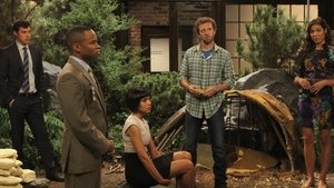 The Archaeologist in the Cocoon