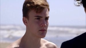 A day at the beach / One parrot is too many and two are too few