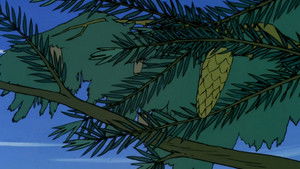 The Whisper of the Fir Trees