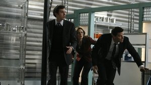 The Pain in the Heart