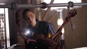 Two Bodies in the Lab