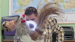 1202 Ličinin adresar